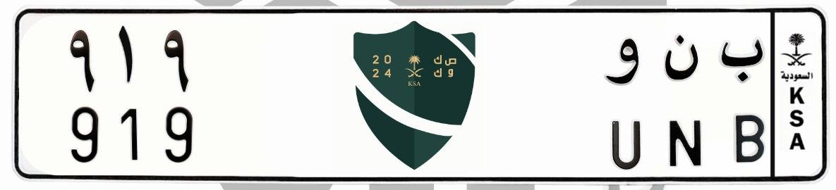 لوحة ب ن و 919